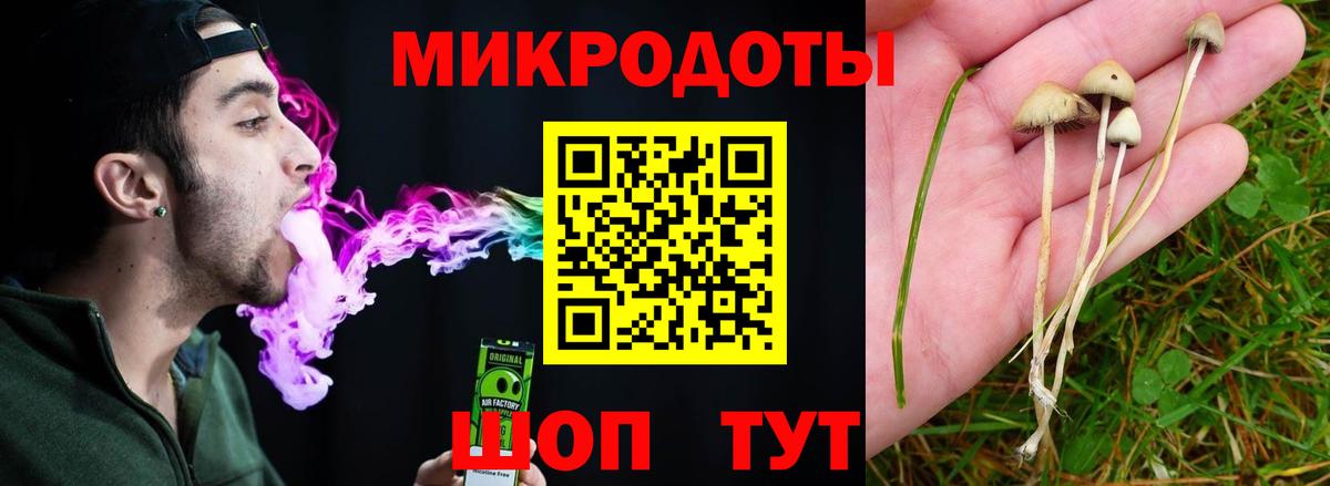 Псилоцибиновые грибы Psilocybine cubensis Сегежа