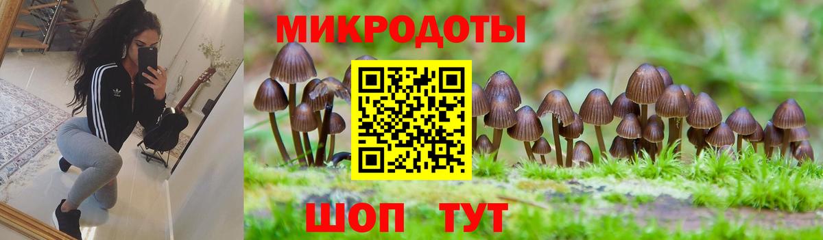 Псилоцибиновые грибы Psilocybine cubensis  Вход с VPN  Псилоцибиновые грибы ЛСД  Сегежа 